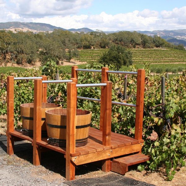 vineyard 1331574 1280